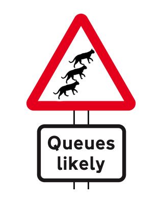 Cat queues likely road sign